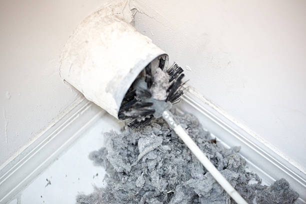 Best Affordable Air Duct Cleaning  in Forestde, AL