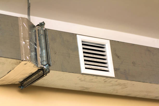 Best Air Duct Mold Removal  in Forestde, AL